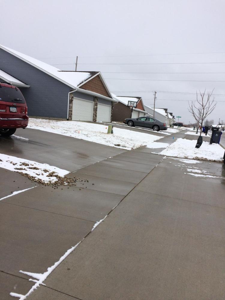 Brand new duplex